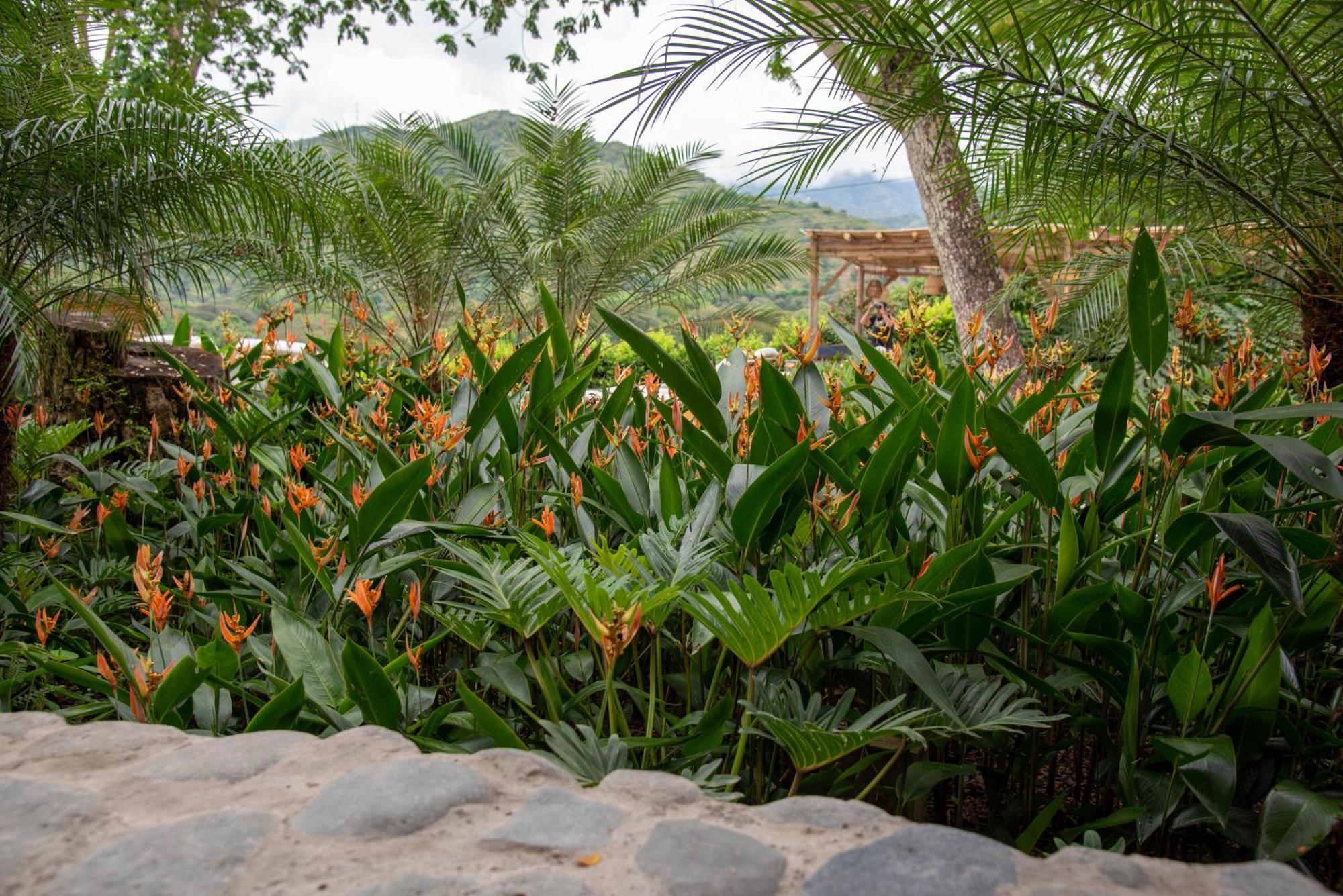 Nativa Refugio Escondido Hotel Santa Fe de Antioquia Ngoại thất bức ảnh
